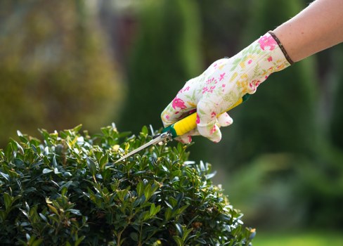 Secure Tree Surgeons Wandsworth payment area with protected checkout
