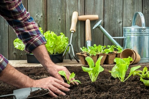 Charity partnership reusing timber and green materials for community projects