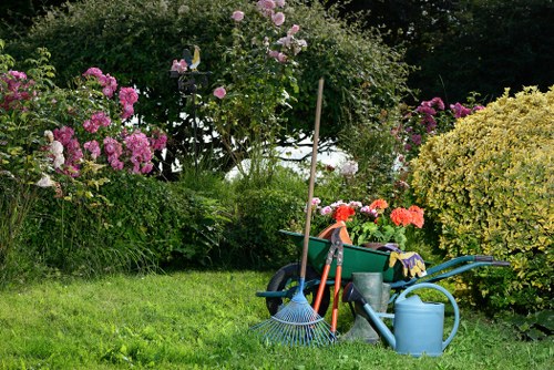 Professional tree pruning work in a Wandsworth garden