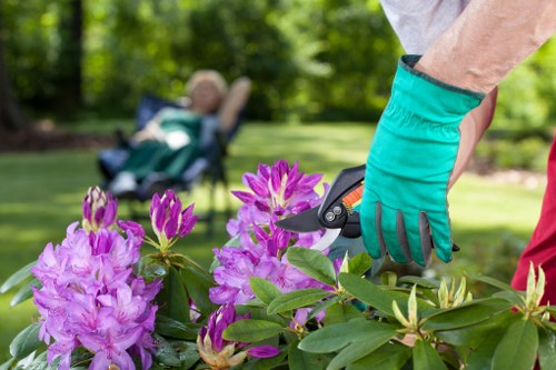 Tree pruning near boundary fences and garden access in Wandsworth