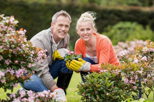 Professional tree health check for a garden tree in Wandsworth